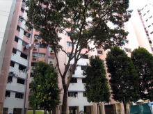 Blk 106 Bukit Purmei Road (Bukit Merah), HDB 3 Rooms #258682